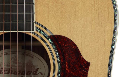 Richwood - D-270-Va - Custom Shop Dreadnought