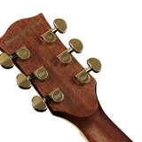 Richwood - D-270-Va - Custom Shop Dreadnought