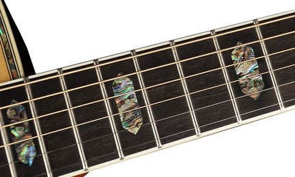 Richwood - D-270-Va - Custom Shop Dreadnought