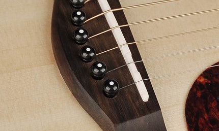Richwood - A-220 - Custom Shop Auditorium Ooo