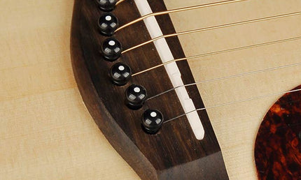 Richwood - D-240 - Custom Shop Dreadnought