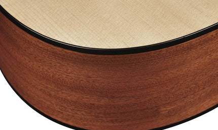 Richwood - D-240 - Custom Shop Dreadnought