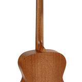 Richwood - A-250 - Custom Shop Auditorium Ooo