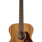 Richwood - A-250 - Custom Shop Auditorium Ooo