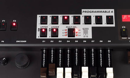 dual manual midi controller, 2x 61 waterfall keys, 20 drawbars, 6 pots, fully programmable