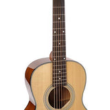 Richwood - P-40 - handmade parlor guitar