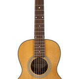 Richwood - P-65-Va - Handmade Parlor Guitar