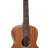 Richwood - P-50 - handmade parlor guitar