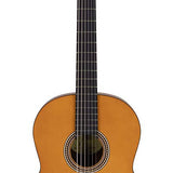 Valencia - VC204H - Classic Guitar With Hybrid Neck 4/4 – Antique Natural