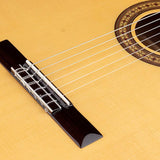 Salvador Cortez - Cf-55Ce - Flamenco Guitar