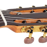 Salvador Cortez - Cf-55Ce - Flamenco Guitar