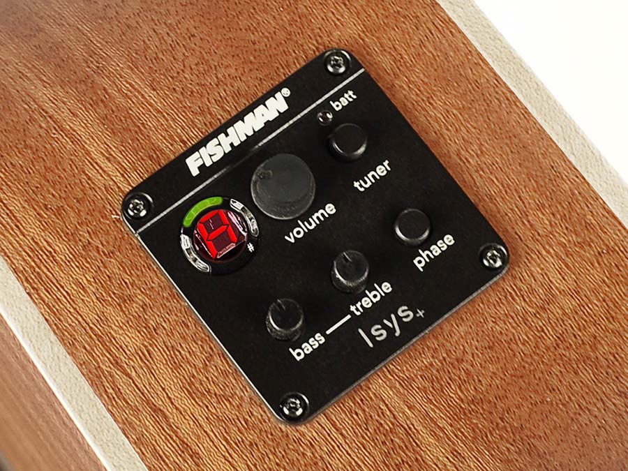 Richwood - Swg-110-Ce - Handmade Guitar "Songwriter M"