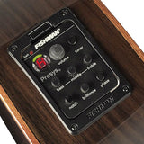 Richwood - Swg-150-Ce - Handmade Guitar "Songwriter R"