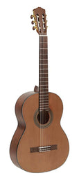 classic guitar, cedar top, agathis b&s, satin finish