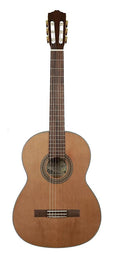 classic guitar, cedar top, agathis b&s, satin finish