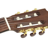 Salvador Cortez - Cc-06 - Classic Guitar