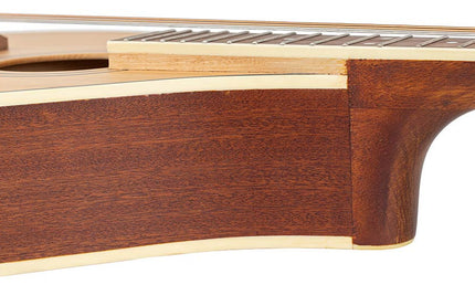 Richwood - Rima-40 - Irish Mandola With Solid Spruce Top – Pore Natural