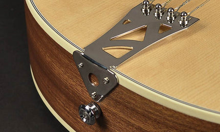 Richwood - Ribz-40 - Irish Bouzouki With Solid Spruce Top – Pore Natural