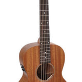 Richwood - P-50-E - handmade parlor guitar