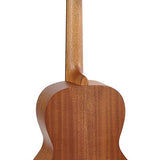 Richwood - P-50-E - Handmade Parlor Guitar