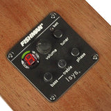 Richwood - P-50-E - Handmade Parlor Guitar