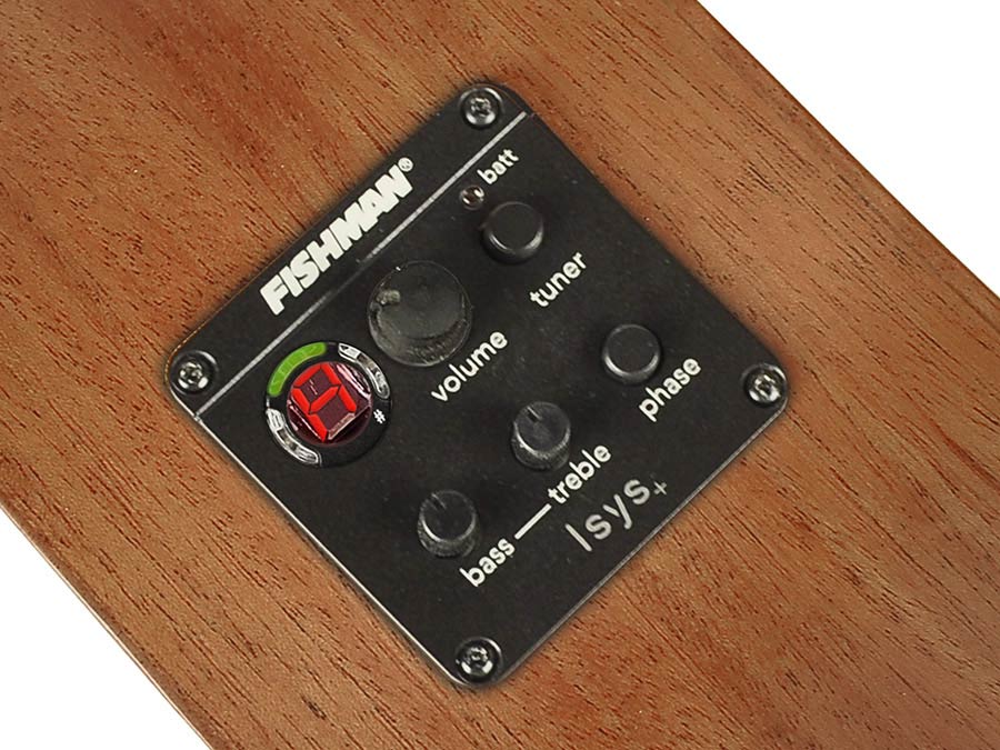 Richwood - P-50-E - Handmade Parlor Guitar