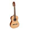 classic guitar, spruce top, sapele b&s, Savarez strings, satin finish, 3/4 junior model, 580 mm