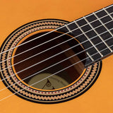 Valencia - VC264 - Classic Guitar 4/4 – Antique Natural