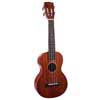 concert ukulele, vintage natural, with bag