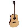 acoustic dreadnought guitar with SIB electronics, natural