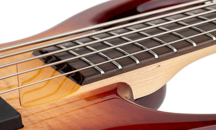 alder + solid maple 5-string bass guitar brown