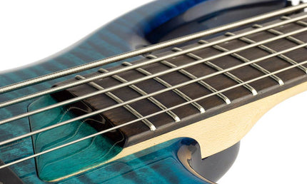 alder + solid maple 5-string bass guitar transparent blue