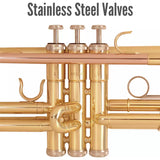 Odyssey OTR140 Debut Bb Trumpet with case