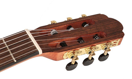 classic guitar, spruce top, sapele b&s, Savarez strings, satin finish, with cutaway and EQ