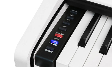 digital home piano, 88 keys graded hammer action, triple sensor (K8), 2 x 20 watt - white satin