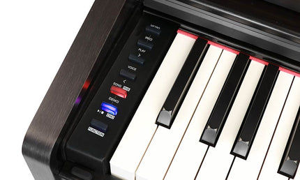 digital home piano, 88 keys graded hammer action, triple sensor (K8), 2 x 20 watt - rosewood