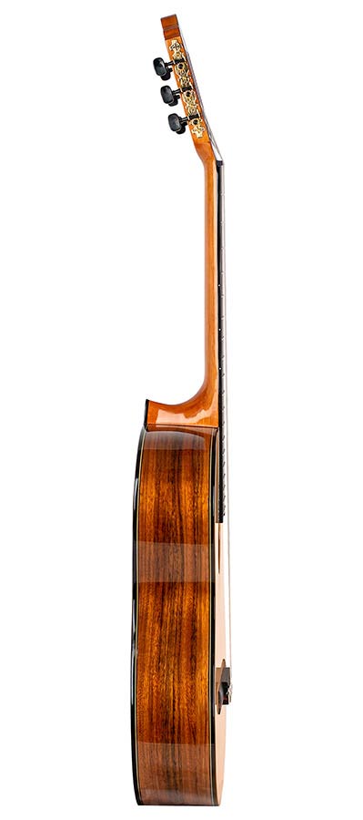 Valencia - VC564 - Classic Guitar 4/4 – Walnut, Natural