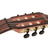 Valencia - VC564CEBSB - Classic Guitar 4/4 – Cutaway,Brown Sunburst