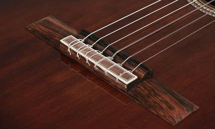 Valencia - VC564CEBSB - Classic Guitar 4/4 – Cutaway,Brown Sunburst