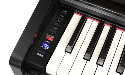 digital home piano, 88 keys graded hammer action (K6s), 2 x 20 watt - black satin