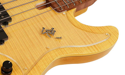 alder with flamed maple top 5-string bass guitar, natural