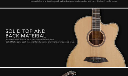 acoustic grand auditorium guitar, solid top and back (roasted top) with SIB electronics, natural