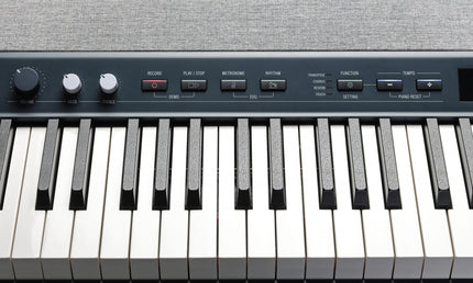 Kurzweil – KAP1-KB – Stage Piano