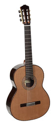 classic guitar, cedar top, rosewood b&s, lattice bracing, raised fb, deluxe gigbag