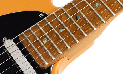 electric guitar T-style butterscotch blonde