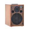 acoustic instruments amplifier ONE FOR STREET 8, 90W, natural lacquered wood, no battery