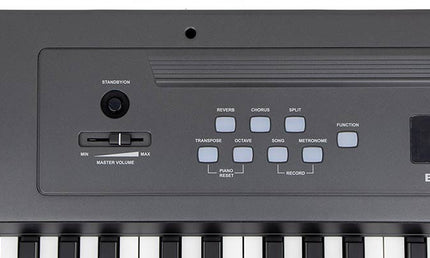 digital stage piano with 88 hammer action keys, 8 voices, 2x10W -  black