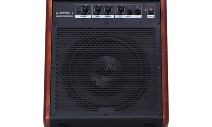 drum monitor, 35 watts, 2 inputs