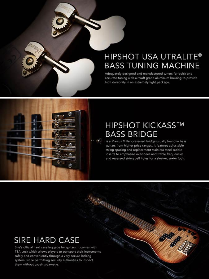 Sire Basses - P10 Dx4/nt - Swamp Ash + Flamed Maple 4-String Active Bass Guitar – Natural,