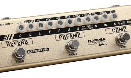 effect strip DAPPER ACOUSTIC MINI with tuner + compressor + preamp + reverb, with cab simulation